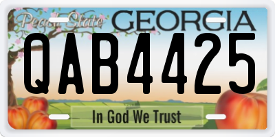 GA license plate QAB4425