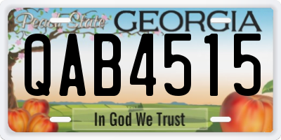 GA license plate QAB4515
