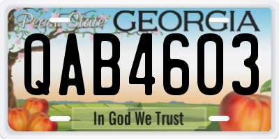 GA license plate QAB4603