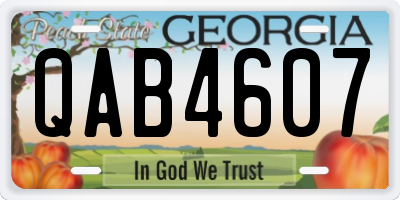 GA license plate QAB4607
