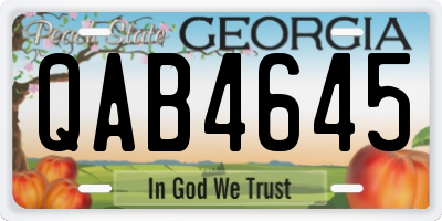 GA license plate QAB4645