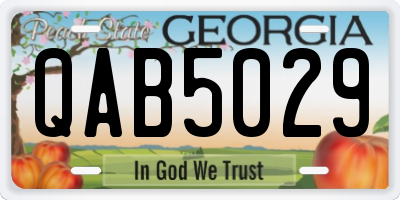 GA license plate QAB5029