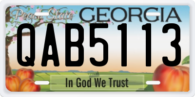 GA license plate QAB5113