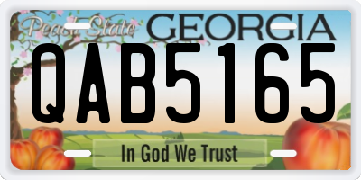GA license plate QAB5165