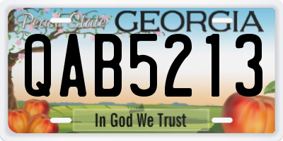 GA license plate QAB5213