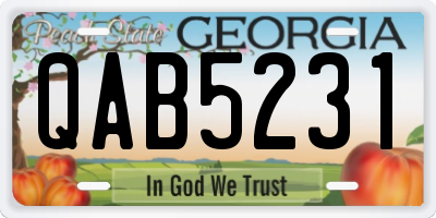 GA license plate QAB5231