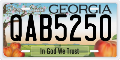 GA license plate QAB5250
