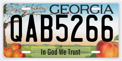 GA license plate QAB5266