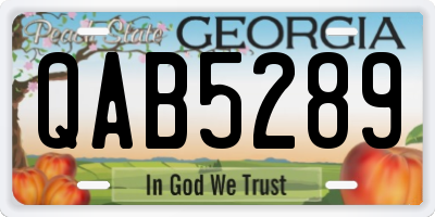 GA license plate QAB5289