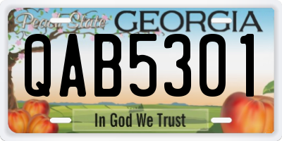 GA license plate QAB5301