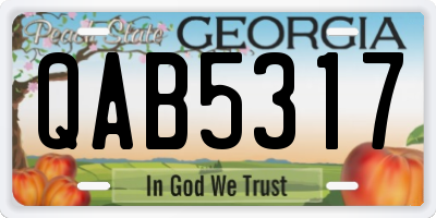 GA license plate QAB5317