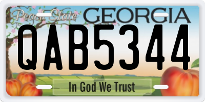 GA license plate QAB5344