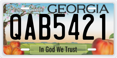 GA license plate QAB5421