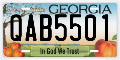GA license plate QAB5501