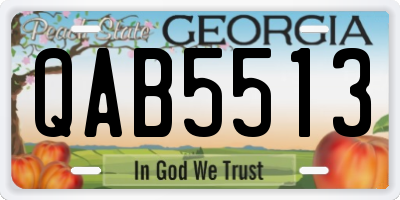 GA license plate QAB5513