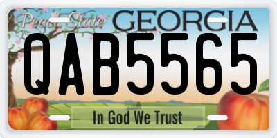 GA license plate QAB5565