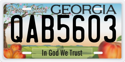 GA license plate QAB5603