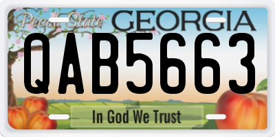 GA license plate QAB5663