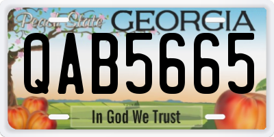 GA license plate QAB5665