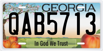 GA license plate QAB5713