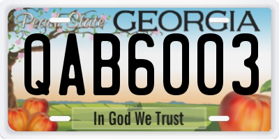 GA license plate QAB6003