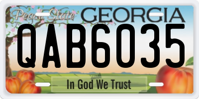 GA license plate QAB6035