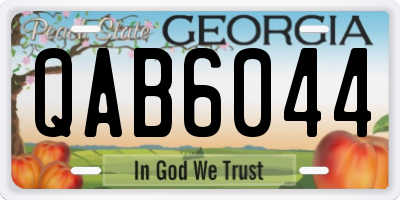 GA license plate QAB6044