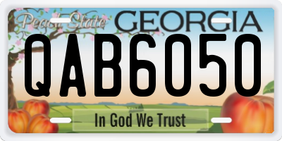GA license plate QAB6050