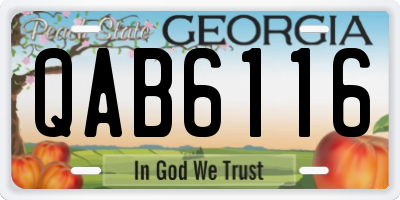 GA license plate QAB6116