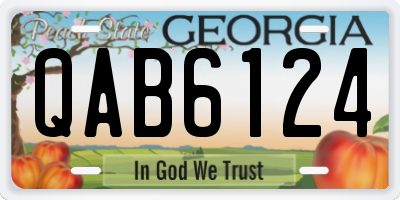 GA license plate QAB6124