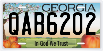 GA license plate QAB6202