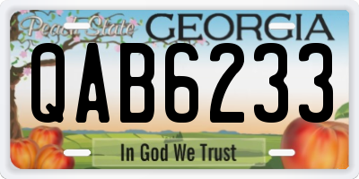 GA license plate QAB6233