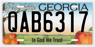 GA license plate QAB6317