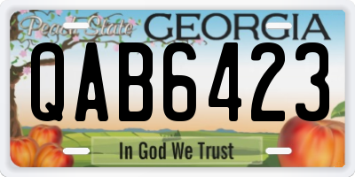 GA license plate QAB6423