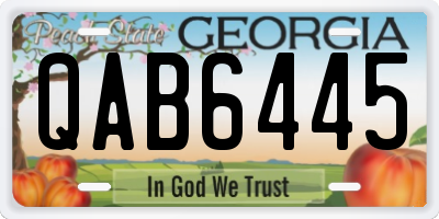GA license plate QAB6445