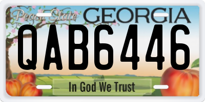 GA license plate QAB6446