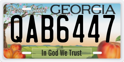GA license plate QAB6447