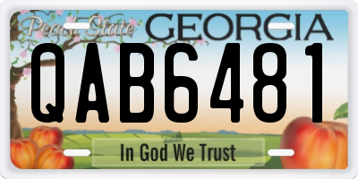 GA license plate QAB6481