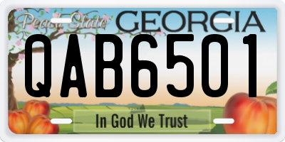 GA license plate QAB6501