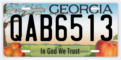 GA license plate QAB6513