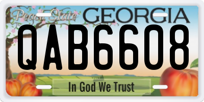 GA license plate QAB6608