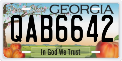 GA license plate QAB6642
