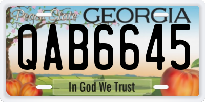 GA license plate QAB6645