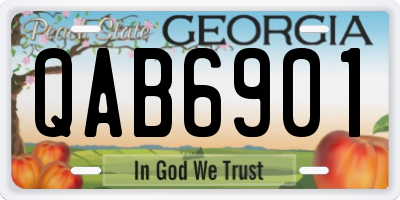 GA license plate QAB6901