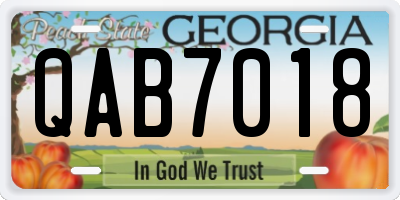 GA license plate QAB7018