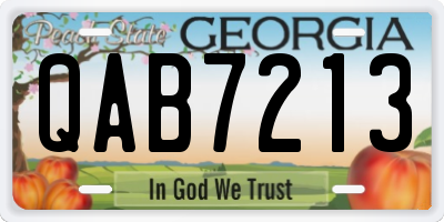 GA license plate QAB7213