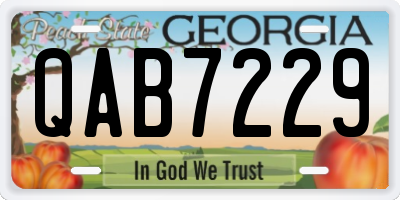 GA license plate QAB7229