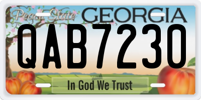 GA license plate QAB7230