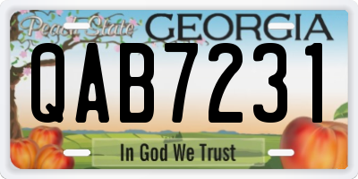 GA license plate QAB7231