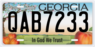 GA license plate QAB7233